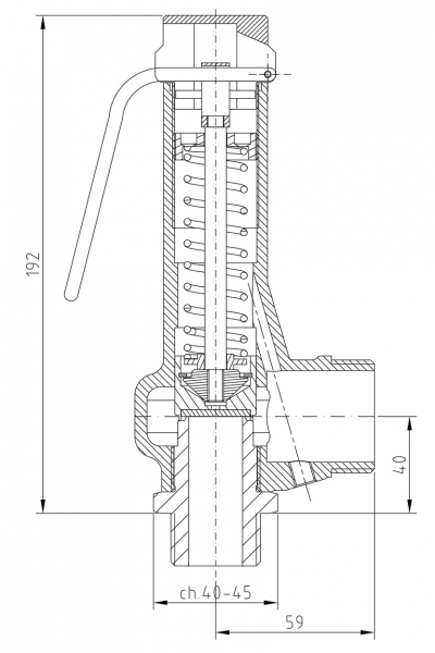 Safety valve model G20/L piped discharge disego 2D