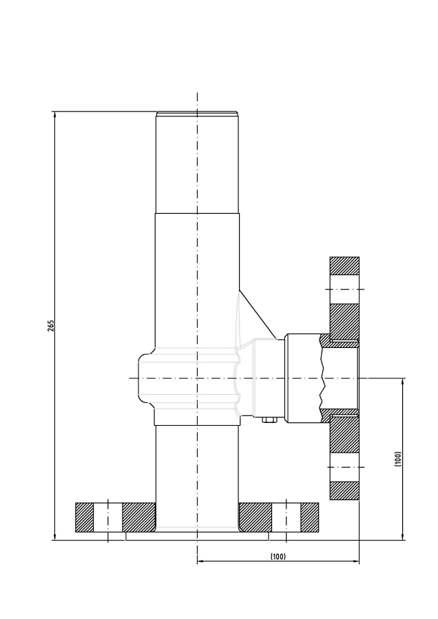 Valvola di sicurezza modello G25/S-CF a scarico convogliato disegno 2D