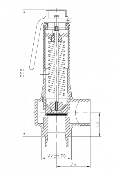 Safety valve model G40/L piped discharge disego 2D