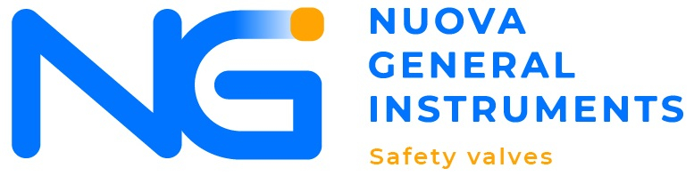 NGI NGI Logo