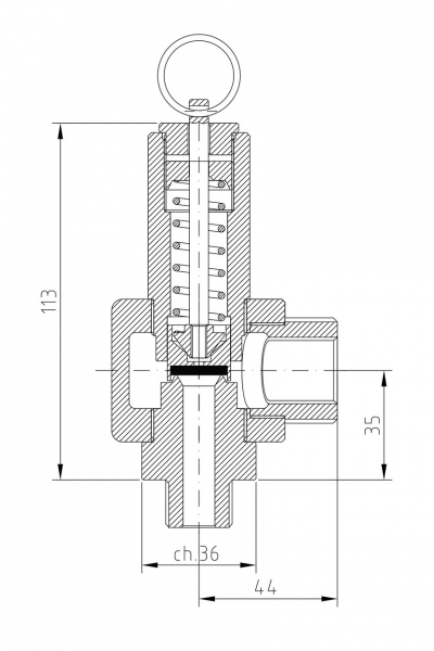 Safety valve model P10/A piped discharge 2D drawing
