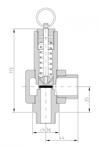 Safety valve model P14/A piped discharge 2D drawing